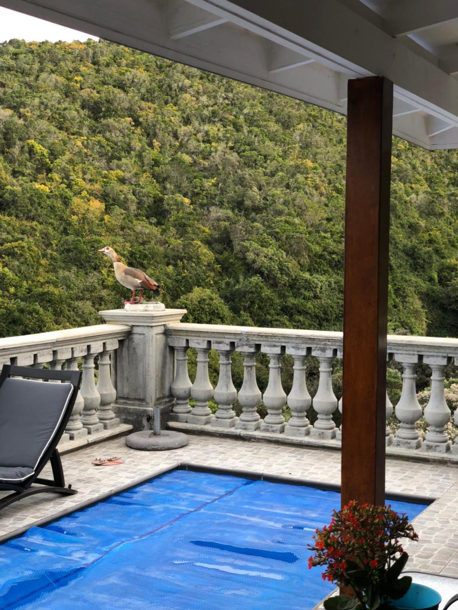 Livingstone Villa Wildernis Exteriér fotografie